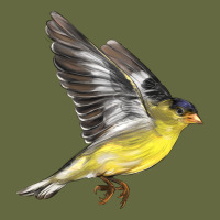Flying American Goldfinch Long Sleeve Tee | Teevron