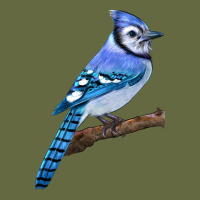 Blue Jay Bird Long Sleeve Tee | Teevron