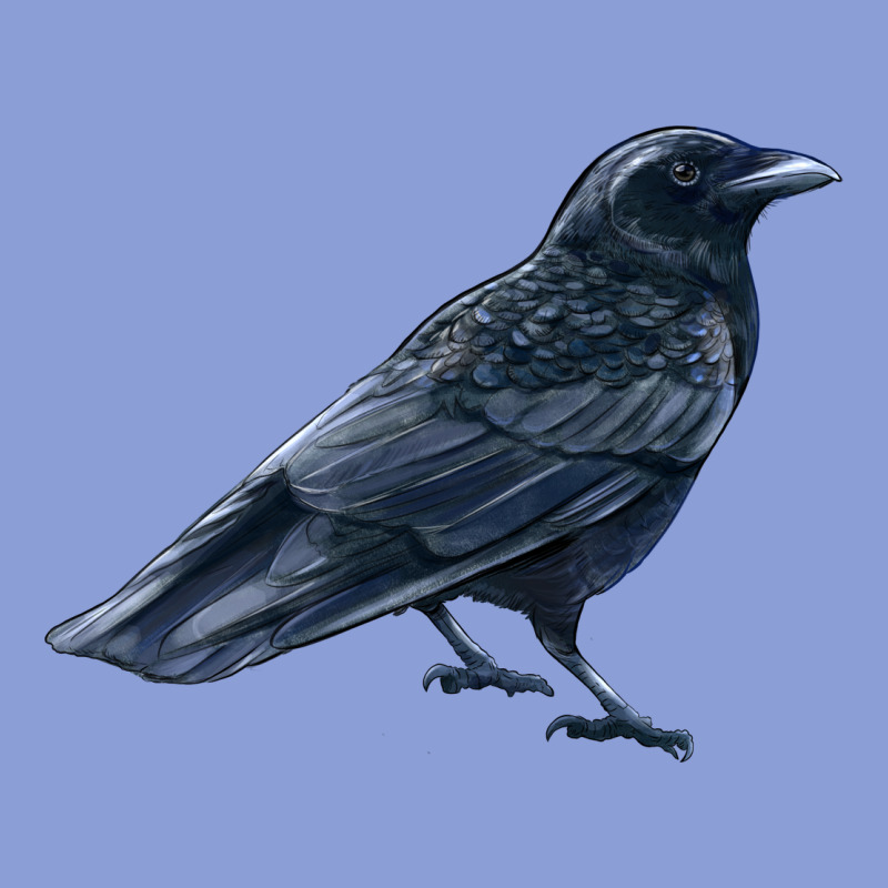 American Crow Long Sleeve Tee by LillyAllenDesigns | Teevron