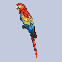 Scarlet Macaw Parrot Long Sleeve Tee | Teevron