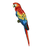 Scarlet Macaw Parrot | Teevron