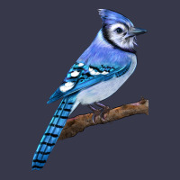Blue Jay Bird Long Sleeve Tee | Teevron