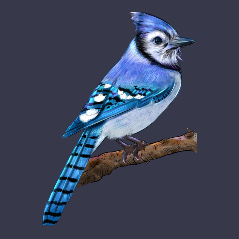 Blue Jay Bird Long Sleeve Tee by LillyAllenDesigns | Teevron