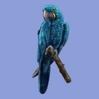 Hyacinth Macaw Long Sleeve Tee | Teevron