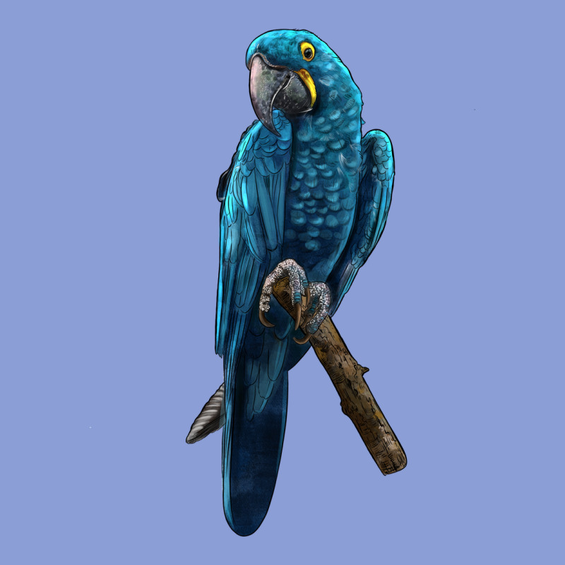 Hyacinth Macaw Long Sleeve Tee by LillyAllenDesigns | Teevron