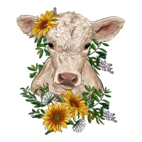 charolais calf with sunflowers | Teevron