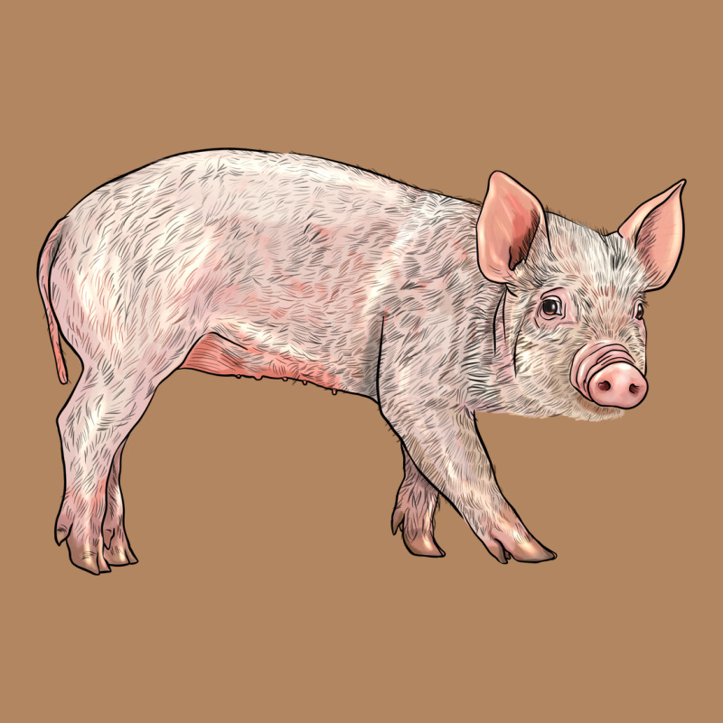 American Yorkshire Pig  Baby Long Sleeve Tee by LillyAllenDesigns | Teevron