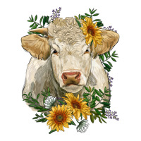 charolais cattle with sunflowers | Teevron