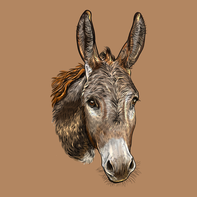 Andalusian Donkey Face Long Sleeve Tee by LillyAllenDesigns | Teevron