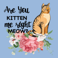 Are You Kitten Me Right Meow Premium Hoodie | Teevron