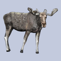 Moose Buck Deer Long Sleeve Tee | Teevron