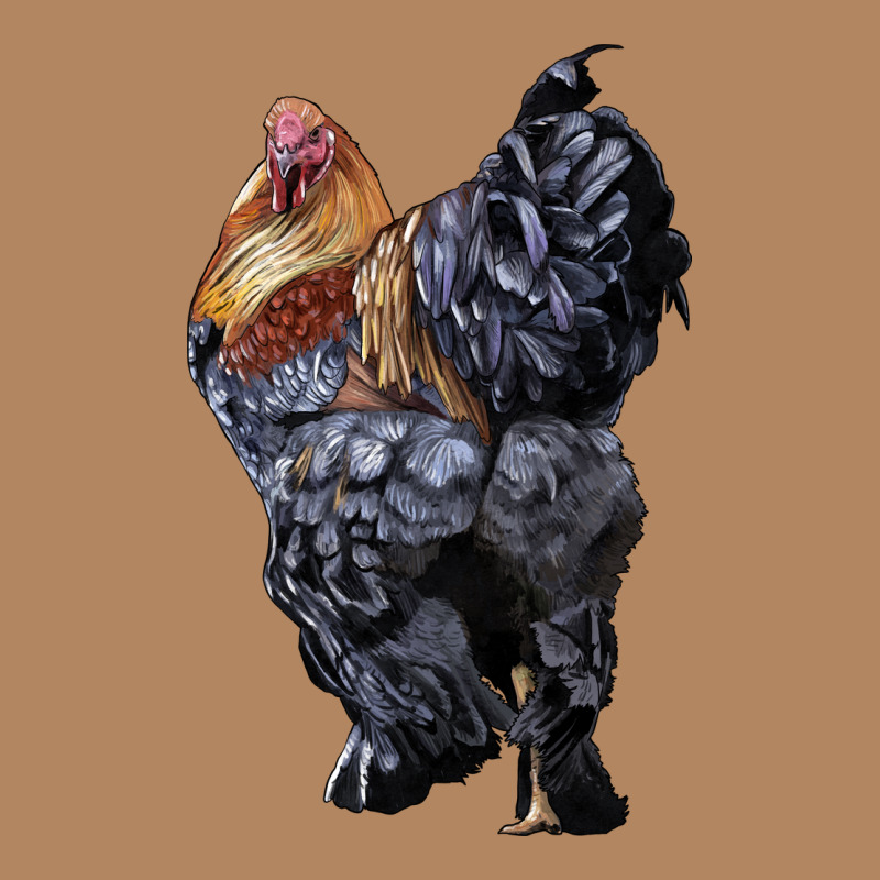 Brahma Rooster Long Sleeve Tee by LillyAllenDesigns | Teevron