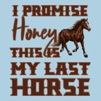 I Promise Honey This Is My Last Horse Premium Hoodie | Teevron