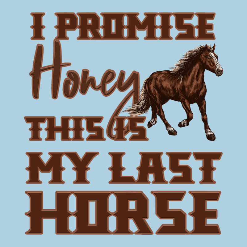 I Promise Honey This Is My Last Horse Premium Hoodie by Bettercallsaul | Teevron