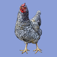 Dominique Chicken Long Sleeve Tee | Teevron