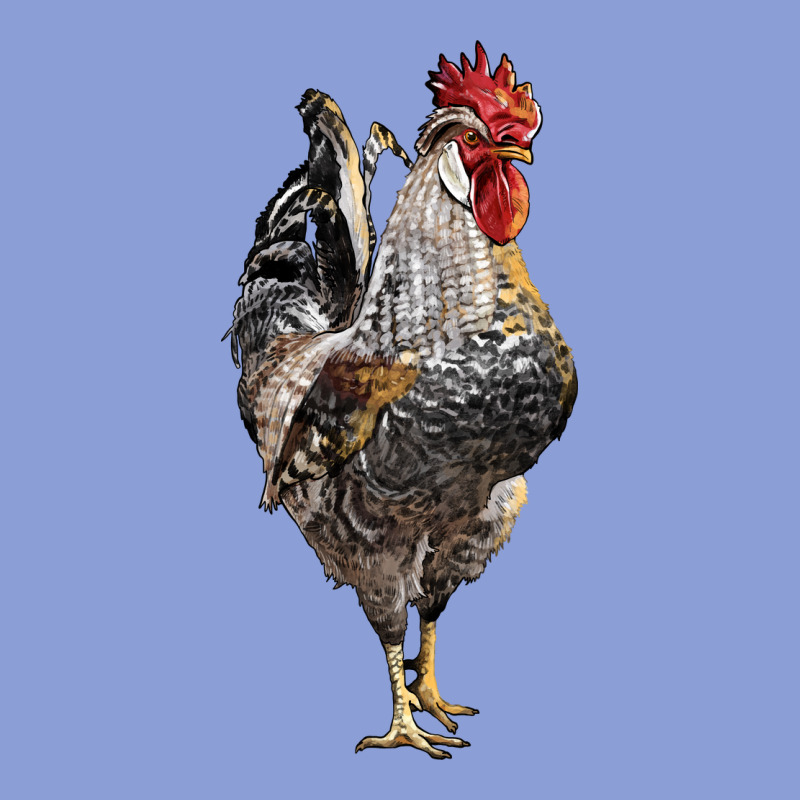 Cream Legbar Rooster Long Sleeve Tee by LillyAllenDesigns | Teevron