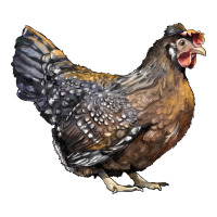 Cream Legbar Chicken Long Sleeve Tee | Teevron
