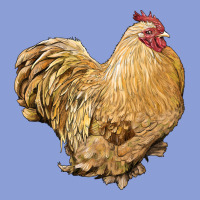 Cochin Rooster Long Sleeve Tee | Teevron