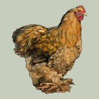 Cochin Chicken Long Sleeve Tee | Teevron