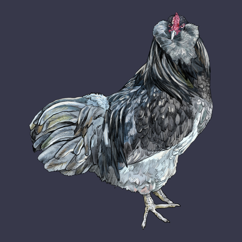 Ameraucana Rooster Long Sleeve Tee by LillyAllenDesigns | Teevron