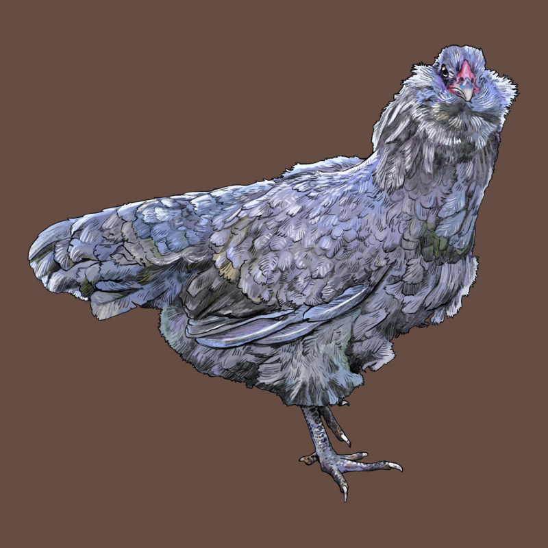 Ameraucana Chicken Long Sleeve Tee by LillyAllenDesigns | Teevron