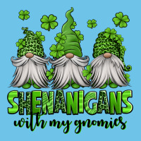 Shenanigans With My Gnomies St Patricks Day Gnomes Premium Sweatshirt | Teevron