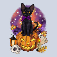 Halloween Black Cat Pumpkin Premium Sweatshirt | Teevron