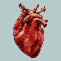 Anatomical Heart Heavy Core Tee | Teevron