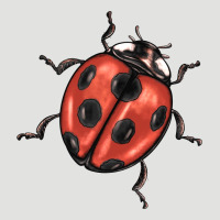 Ladybug Classic Tee | Teevron