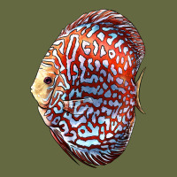 Discus Fish Long Sleeve Tee | Teevron