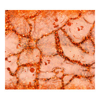 orange glitter | Teevron