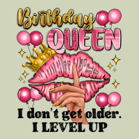Birthday Queen I Dont Get Older I Level Up Heavyweight Hoodie | Teevron