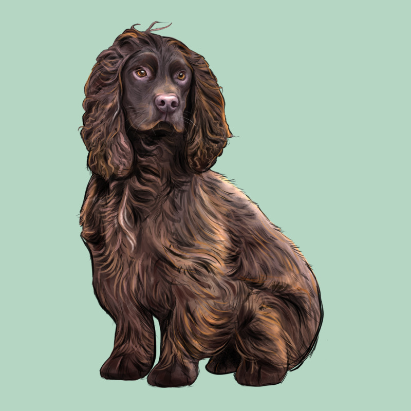 Boykin Spaniel Dog Classic Tee by LillyAllenDesigns | Teevron