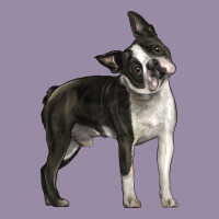 Boston Terrier Classic Tee | Teevron