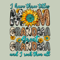 I Have Three Tittles Mom Grandma Great Grandma Ladies Tee | Teevron