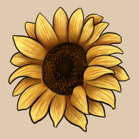 Sunflower Heavyweight Sweatshirt | Teevron