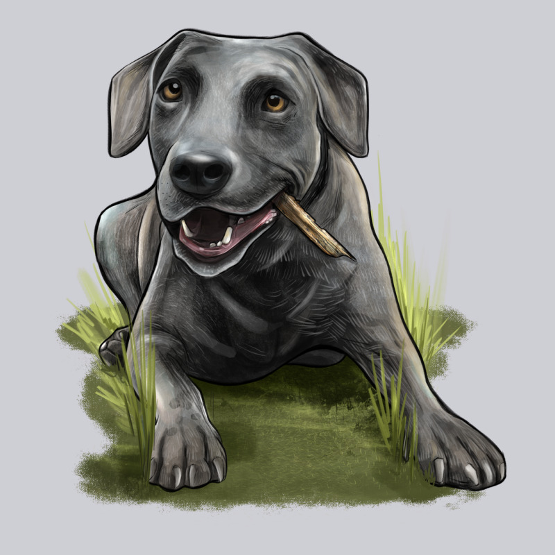 Texas Blue Lacy Dog Classic Tee by LillyAllenDesigns | Teevron