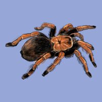 Mexican Red Knee Tarantula Classic Tee | Teevron