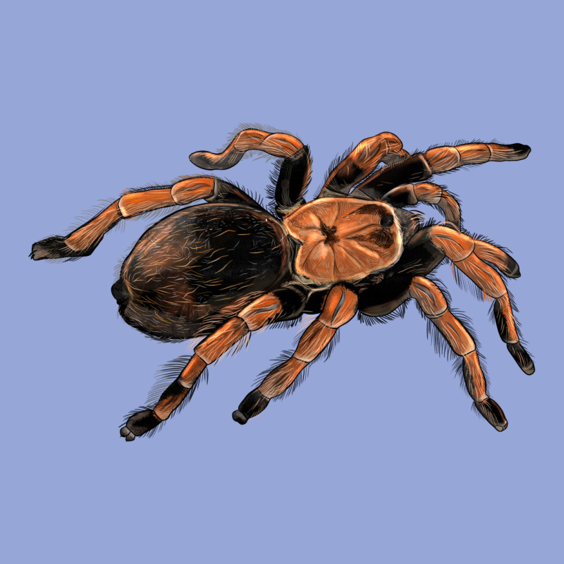 Mexican Red Knee Tarantula Classic Tee by LillyAllenDesigns | Teevron