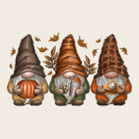 Fall Gnomes Premium Sweatshirt | Teevron