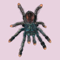 Pink Toe Tarantula Classic Tee | Teevron