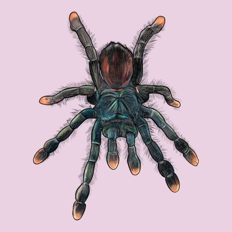 Pink Toe Tarantula Classic Tee by LillyAllenDesigns | Teevron