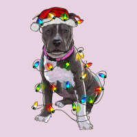 Pitbull With Christmas Lights Ladies Tee | Teevron