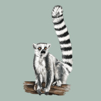 Ringtail Cat Classic Tee | Teevron