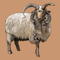 Navajo Churro Sheep Heavyweight Hoodie | Teevron