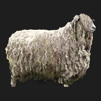 Lincoln Sheep Heavyweight Hoodie | Teevron