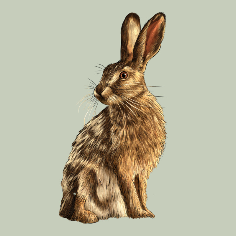 Hares Classic Tee by LillyAllenDesigns | Teevron