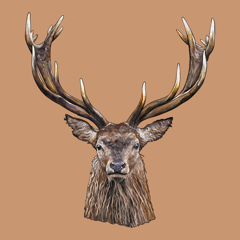 Elk Deer Head Heavyweight Hoodie by LillyAllenDesigns | Teevron