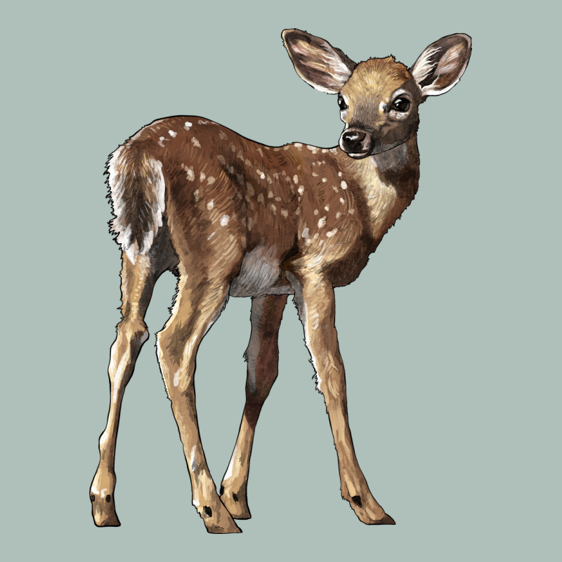 White Tailed Fawn Deer Heavyweight Hoodie by LillyAllenDesigns | Teevron