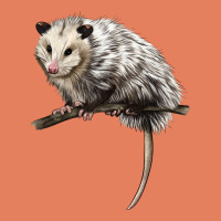 Opossum Classic Tee | Teevron